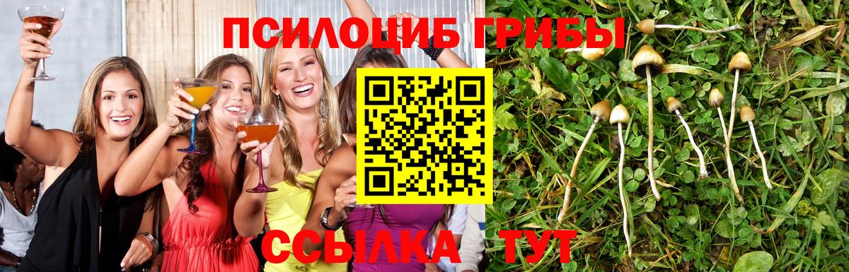 Псилоцибиновые грибы прущие грибы Киселёвск