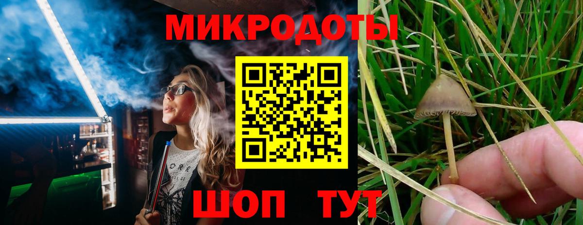 Киселёвск  Псилоцибиновые грибы мицелий  Вход с VPN 